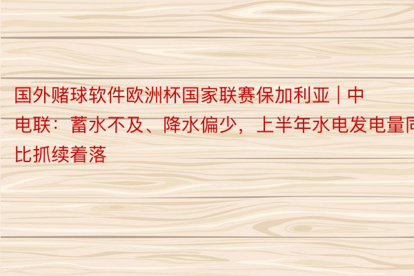 国外赌球软件欧洲杯国家联赛保加利亚 | 中电联：蓄水不及、降水偏少，上半年水电发电量同比抓续着落